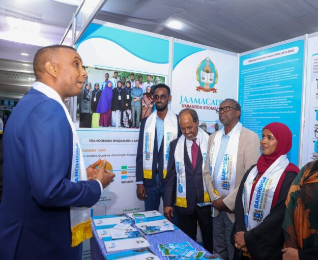 456741778_915920923904526_470433326888111096_n